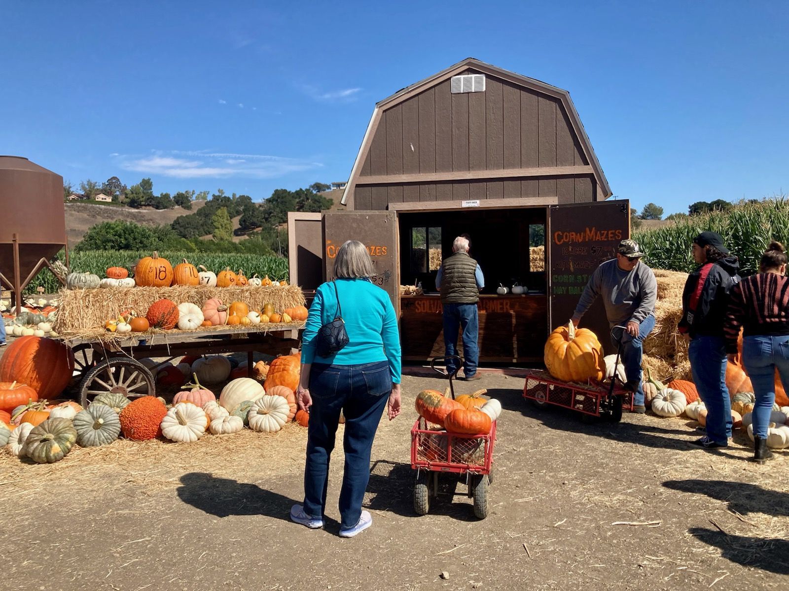 101421 Solvang Pumpkin 5.jpg